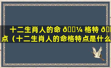 十二生肖人的命 🐼 格特 🍀 点（十二生肖人的命格特点是什么）